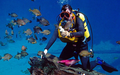 Oludeniz Scuba Diving